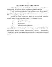 Lyderiavimas. Lyderystės vaidmuo verslo organizacijoje 6 puslapis