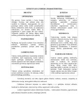 Lyderiavimas. Lyderystės vaidmuo verslo organizacijoje 7 puslapis