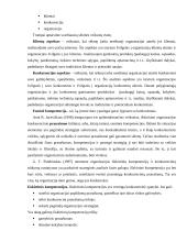 Lyderio ataskaita: UAB "Uklara" 12 puslapis