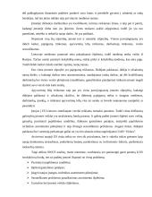 Lyderio ataskaita: UAB "Uklara" 19 puslapis