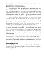 Lyderio ataskaita: UAB "Uklara" 7 puslapis