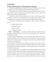 Lyderio ataskaita: UAB "Uklara" 8 puslapis