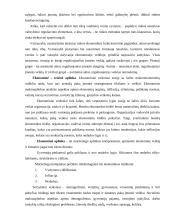 Lyderio ataskaita: UAB "Uklara" 9 puslapis