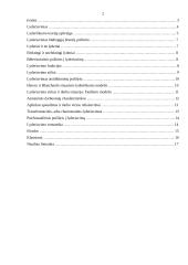 Lyderystė, lyderio vaidmuo organizacijoje 2 puslapis