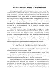Lyderystė, lyderio vaidmuo organizacijoje 13 puslapis
