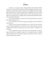Lyderystė, lyderio vaidmuo organizacijoje 15 puslapis