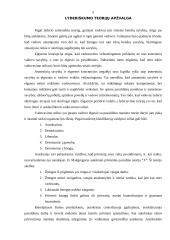 Lyderystė, lyderio vaidmuo organizacijoje 5 puslapis