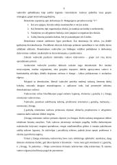 Lyderystė, lyderio vaidmuo organizacijoje 6 puslapis