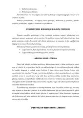 Lyderystė, lyderio vaidmuo organizacijoje 7 puslapis