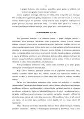 Lyderystė, lyderio vaidmuo organizacijoje 9 puslapis