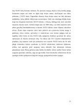 Lietuva — NATO narė, finansavimo ir investicijų panaudojimo problemos 12 puslapis