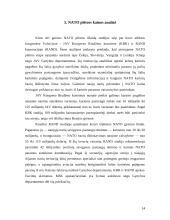 Lietuva — NATO narė, finansavimo ir investicijų panaudojimo problemos 13 puslapis