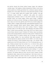 Lietuva — NATO narė, finansavimo ir investicijų panaudojimo problemos 18 puslapis