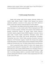 Lietuva — NATO narė, finansavimo ir investicijų panaudojimo problemos 20 puslapis