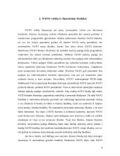 Lietuva — NATO narė, finansavimo ir investicijų panaudojimo problemos 3 puslapis