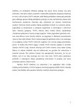 Lietuva — NATO narė, finansavimo ir investicijų panaudojimo problemos 4 puslapis