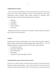 Lietuva Europos Sąjungoje (ES)— teigiamos ir neigiamos pusės 3 puslapis