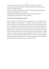 Lietuva Europos Sąjungoje (ES)— teigiamos ir neigiamos pusės 8 puslapis