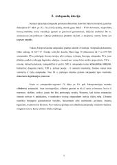 Antspaudai 4 puslapis