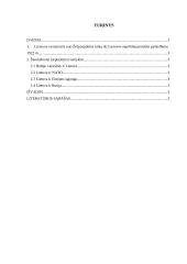 Lietuva tarptautinių santykių sistemoje 2 puslapis