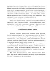 Lietuva tarptautinių santykių sistemoje 5 puslapis