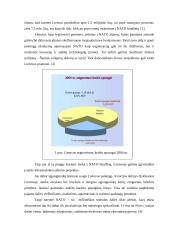 Lietuva tarptautinių santykių sistemoje 8 puslapis