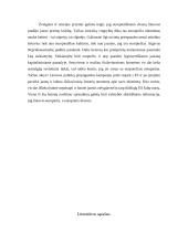 Lietuvių identitetas. Ar esame europiečiai? 9 puslapis