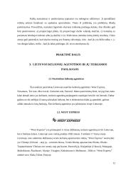 Lietuvoje esančių turizmo agentūrų teikiamos paslaugos 12 puslapis