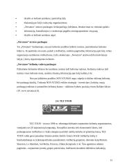 Lietuvoje esančių turizmo agentūrų teikiamos paslaugos 15 puslapis