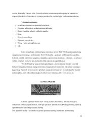 Lietuvoje esančių turizmo agentūrų teikiamos paslaugos 16 puslapis