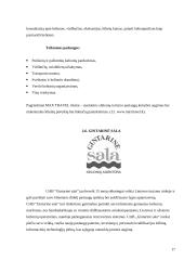 Lietuvoje esančių turizmo agentūrų teikiamos paslaugos 17 puslapis