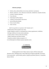 Lietuvoje esančių turizmo agentūrų teikiamos paslaugos 18 puslapis