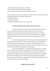 Lietuvoje esančių turizmo agentūrų teikiamos paslaugos 20 puslapis