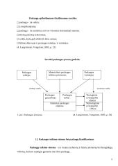 Lietuvoje esančių turizmo agentūrų teikiamos paslaugos 5 puslapis
