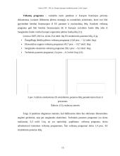 Lietuvos 2007–2013 metų Europos Sąjungos (ES) struktūrinė parama 15 puslapis