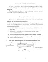 Lietuvos 2007–2013 metų Europos Sąjungos (ES) struktūrinė parama 9 puslapis