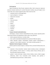 Lietuvos 2007–2013 metų Europos Sąjungos (ES) struktūrinė parama 10 puslapis