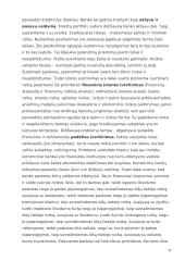 Lietuvos bankų sistema ir jos reikšmė ekonomikai 16 puslapis