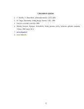 Lietuvos bendrasis vidaus produktas (apskaičiuotas išlaidų metodu) 13 puslapis