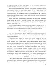 Lietuvos BVP Europos Sąjungos (ES) šalių kontekste 13 puslapis