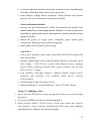 Lietuvos BVP Europos Sąjungos (ES) šalių kontekste 17 puslapis