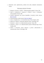 Lietuvos BVP Europos Sąjungos (ES) šalių kontekste 18 puslapis