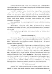 Lietuvos BVP Europos Sąjungos (ES) šalių kontekste 4 puslapis