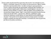 Skurdas ir socialinė atskirtis Lietuvoje  18 puslapis