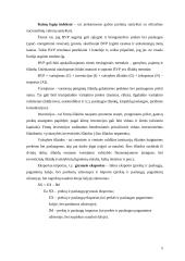 Lietuvos bendrasis vidaus produktas Europos Sąjungos (ES) šalių kontekste 4 puslapis