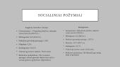 Jungtinių Amerikos Valstijų ir Madagaskaro socialiniai ir ekonominiai požymiai 8 puslapis