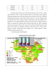 Lietuvos darbo rinkos struktūra 11 puslapis