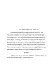 Lietuvos darbo rinkos struktūra 12 puslapis