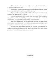 Lietuvos darbo rinkos struktūra 13 puslapis