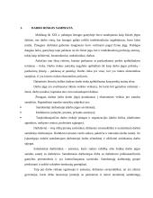 Lietuvos darbo rinkos struktūra 4 puslapis